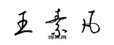梁锦英王素凡草书个性签名怎么写