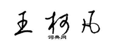 梁锦英王柯凡草书个性签名怎么写