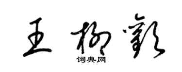 梁锦英王柳欢草书个性签名怎么写
