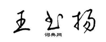 梁锦英王书扬草书个性签名怎么写