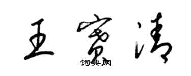 梁锦英王赛清草书个性签名怎么写