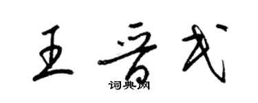 梁锦英王晋民草书个性签名怎么写