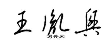 梁锦英王胤兴草书个性签名怎么写