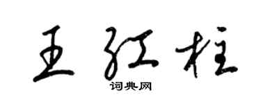 梁锦英王红柱草书个性签名怎么写