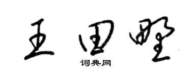 梁锦英王田野草书个性签名怎么写