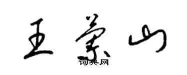 梁锦英王兰山草书个性签名怎么写