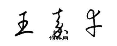 梁锦英王嘉幸草书个性签名怎么写