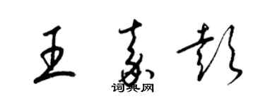梁锦英王嘉彭草书个性签名怎么写