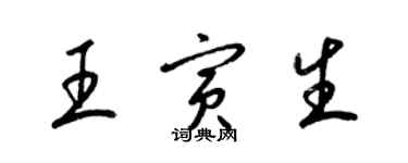 梁锦英王寅生草书个性签名怎么写