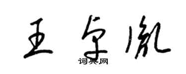 梁锦英王卓胤草书个性签名怎么写