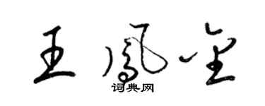 梁锦英王凤金草书个性签名怎么写