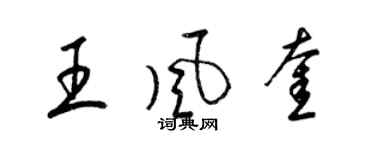 梁锦英王风奎草书个性签名怎么写