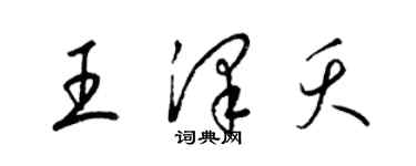 梁锦英王泽夭草书个性签名怎么写