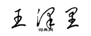 梁锦英王泽里草书个性签名怎么写