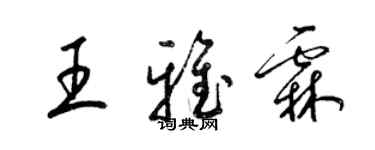梁锦英王雅霖草书个性签名怎么写