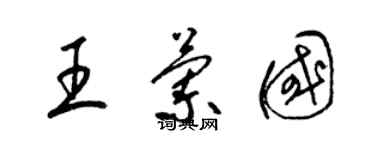 梁锦英王兰国草书个性签名怎么写
