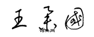 梁锦英王举国草书个性签名怎么写