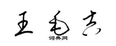 梁锦英王毛吉草书个性签名怎么写