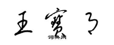 梁锦英王宝月草书个性签名怎么写