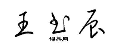 梁锦英王书辰草书个性签名怎么写
