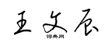 梁锦英王文辰草书个性签名怎么写