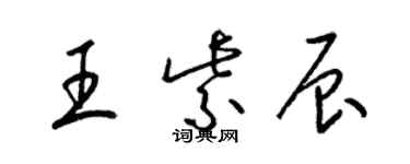 梁锦英王紫辰草书个性签名怎么写