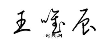 梁锦英王唯辰草书个性签名怎么写