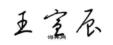 梁锦英王宣辰草书个性签名怎么写