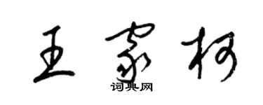 梁锦英王家柯草书个性签名怎么写