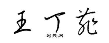 梁锦英王丁菲草书个性签名怎么写