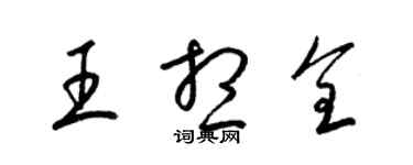 梁锦英王想全草书个性签名怎么写