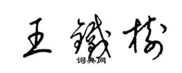 梁锦英王铁树草书个性签名怎么写