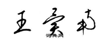 梁锦英王异南草书个性签名怎么写