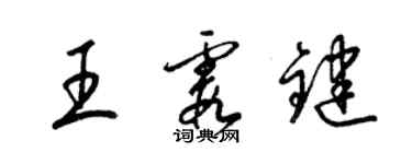 梁锦英王霞键草书个性签名怎么写