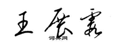梁锦英王展霞草书个性签名怎么写