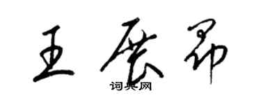 梁锦英王展昂草书个性签名怎么写