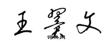 梁锦英王翼文草书个性签名怎么写