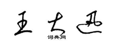 梁锦英王大迅草书个性签名怎么写