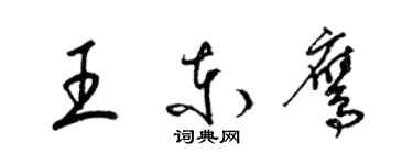 梁锦英王东鹰草书个性签名怎么写
