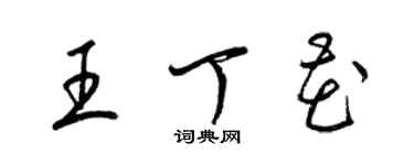 梁锦英王丁花草书个性签名怎么写
