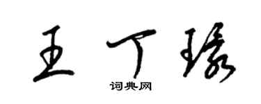 梁锦英王丁环草书个性签名怎么写