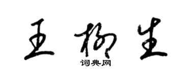 梁锦英王柳生草书个性签名怎么写