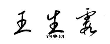 梁锦英王生霞草书个性签名怎么写