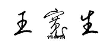 梁锦英王宽生草书个性签名怎么写