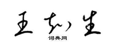 梁锦英王知生草书个性签名怎么写
