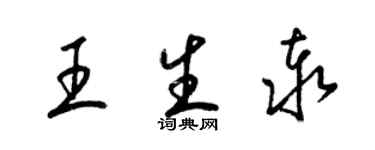 梁锦英王生泰草书个性签名怎么写