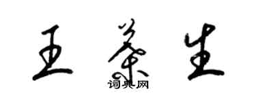 梁锦英王叶生草书个性签名怎么写