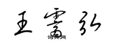 梁锦英王霁弘草书个性签名怎么写