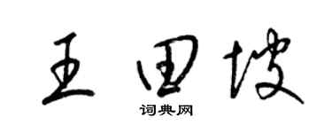 梁锦英王田坡草书个性签名怎么写