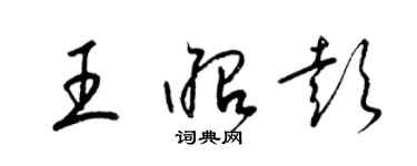 梁锦英王昭彭草书个性签名怎么写